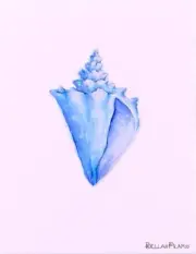 Papyrus Bella Pilar Conch Shell Blank Notecard Greeting Card