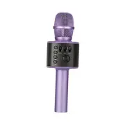 Wireless Bluetooth Karaoke Microphone with Built-in Speakers + HD Recording,
