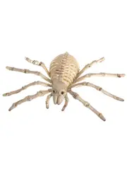 Creepy Plastic Spider Skeleton Halloween Decoration
