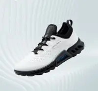 在飛比找Yahoo!奇摩拍賣優惠-ECCO愛步運動鞋C4高爾夫健步130404男防水透氣小白鞋