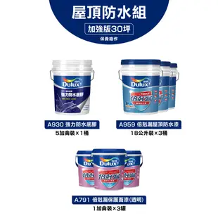 【Dulux得利】30坪加強版 A959倍剋漏屋頂防水組