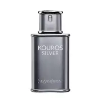 在飛比找蝦皮購物優惠-絕版品 YSL 聖羅蘭 Kouros Silver 淡香水 