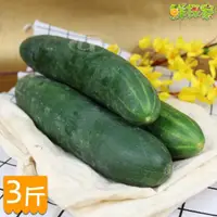 在飛比找momo購物網優惠-【鮮採家】台灣特級鮮脆胡瓜 大黃瓜(3台斤)