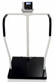 Rice Lake 170139 800lb(360kg) x 0.2lb(100g), 260-10-1 Bariatric Handrail Scale