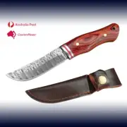 Tactical Fixed Blade Dagger Knives Camping Outdoor Hunting Survival Pocket Knife