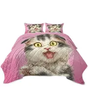 Kittens Cute Drawings Grey Scottish Fold Cat Coverlet