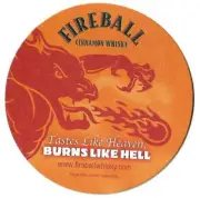 Fireball Cinnamon Whiskey Tastes Like Heaven Burns Like Hell Coaster
