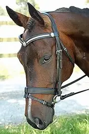3 Row V with Shields Snaffle Bridle - FFEquestrian (Cob, Black)