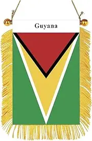 Guyana flag Mini Banner Country Pride Car Display