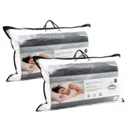Sheraton Goose Feather/Down Pillow - Set of 2