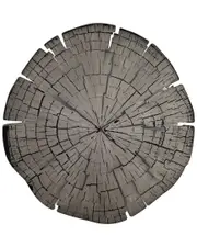 Moe's Home Collection Rings Wall Decor