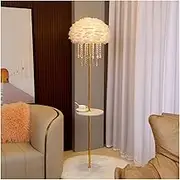 Indoor Floor Lamps Feather Floor Lamp with Table, 63.78 Inch Height Romantic Floor Lamp for Living Room, Bedroom, Office and Other Lighting Standing Lamp(White)