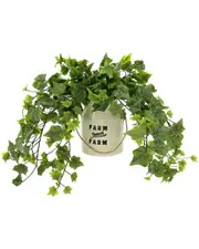 Creative Displays Ivy Arrangement In A Ceramic Pot