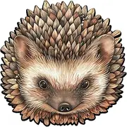 Mys Aurora Puzzles for Adults, Hedgehog Wooden Puzzles 200 Pieces, Unique Shaped Jigsaw Puzzles for Adults and Kids, Birthday Ghristmas Gifts Family Game 11.1 x 11.2 Inch Medium Size
