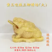 在飛比找momo購物網優惠-【御古齋】天然 黃玉 咬錢三腳蟾蜍(招財進寶 轉錢賺錢 店面