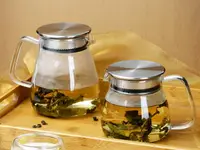 在飛比找樂天市場購物網優惠-茶專家易泡壺-2款容量|簡易泡茶|耐熱玻璃|辦公室泡茶壺