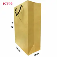 在飛比找蝦皮購物優惠-50 袋 KT09 (30x21x10)