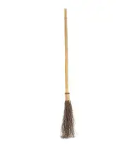 Witch Broom Costume Accessory