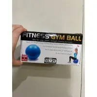 在飛比找蝦皮購物優惠-Fitness gym ball 大抗力球(gym ball