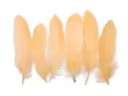 USA SELLER | 1 Pack - Peach Goose Satinettes loose feathers 0.3 oz. Craft Art