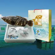 【天和鮮物】澎湖優鮮認證龍虎斑全魚禮盒(3KG)