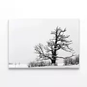 Oak Tree Winter Print 100% Australian Made 150 x 100cm (Stretched)