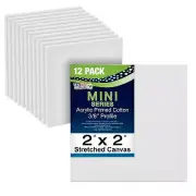 US Art Supply 2" x 2" Mini Professional Primed Stretched Canvas 12-Mini Canvases