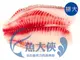 整件-台灣-紅鯛魚片(190~250g規/10kg/件)#排大整件-1B6A【魚大俠】FH324