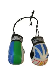 NEWFOUNDLAND & LABRADOR - CANADA Provincial Flags Mini BOXING GLOVES .. New