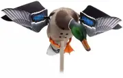 Avian X Powerflight Smart Mallard Hunting Decoy Black - AVXAVXDP100