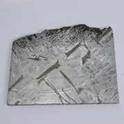 393g Muonionalusta meteorite slice R2019
