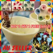 Bee Insect Drinking Cup, Thirsty Pollinators Need Safe Places to Drink, Bee CuDY