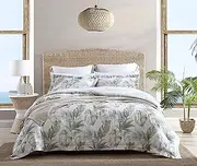 [Tommy Bahama] Queen Comforter Set, Reversible Cotton Bedding with Matching Shams, Medium Weight Home Decor for All Seasons (Waimea Bay Green, Queen)