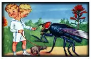 Magnet #560 Nightmare Fuel Surrealism Collage Big Fly Two Headed Boy