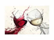 Red & White Wine Splash Art Canvas Print