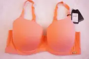 CITY CHIC Bra Plus Size 16D / 38D Smooth & Chic Cotton T-Shirt Bra Orange