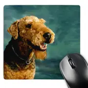 3dRose, Airedale Terrier, Mouse Pad