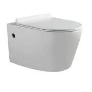 Flay-R Rimless wall hung Pan