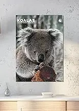 Koalas Calendar 2026