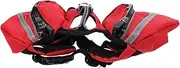 Abaodam Pet Dog Backpack Portable Outdoor Hound Pack for Travel Hiking Oxford Material Red Includes Side Pockets for Snacks Safety Reflective Band