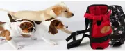 Legs Out Front Dog Carrier Hands-Free Adjustable Pet Cat Puppy Travel Backpack