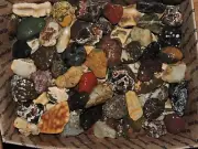 Lot of Small MIXED STONES (12 lbs+) Agate, Jasper, Chert, Chalcedony & More