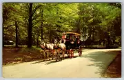 c1960s Surrey Riding McCormick Creek State Park Spencer IN Vintage Postcard