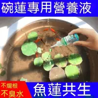 在飛比找蝦皮購物優惠-✐園藝用品】荷花用品 蓮花 睡蓮 碗蓮 蓮藕 專用肥 水耕 