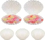 Homoyoyo Shells Candy Box Sea Shell Chocolate Box Party Favor for Jewelry Wedding Birthday Shower Decorations White 9.10X7.70X4.50CM