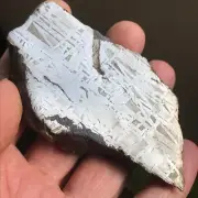Natural Aletai Iron Meteorite 243.8 Grams Cut Slabs Etched Perfect Fusion Crust