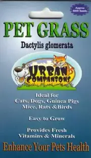2 CAT GRASS - PET GRASS Packets with Approx. 12,000 seeds in total!