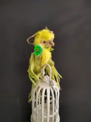 Teddy Bird Parrot Lemon Grass Teddy OOAK by Voitenko Ukraine