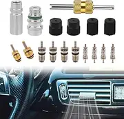 Gosknor 17pcs Air Conditioning Valve Core Kit for R12 or R134A, Teflon Seal Refrigeration A/C Service Valve Car & HVAC AC System Charging Port Seal Caps Set with Disassembly Tool