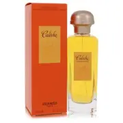 Caleche Hermes Soie De Parfum Spray 100ml